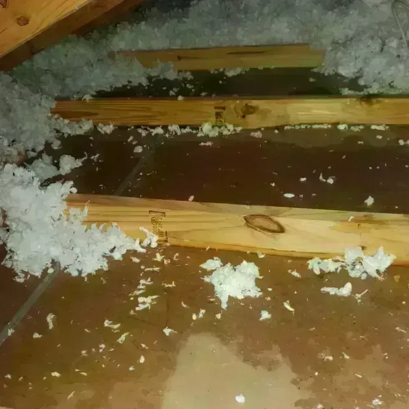 Attic Water Damage in Skyline View, PA